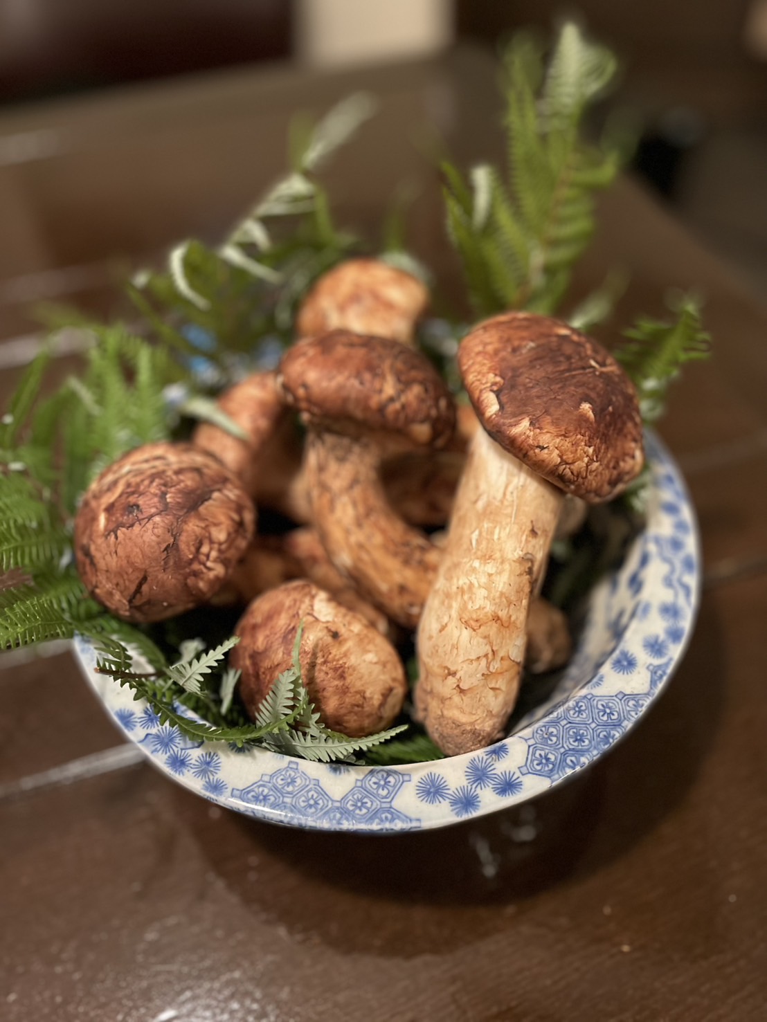 placeholder image sq